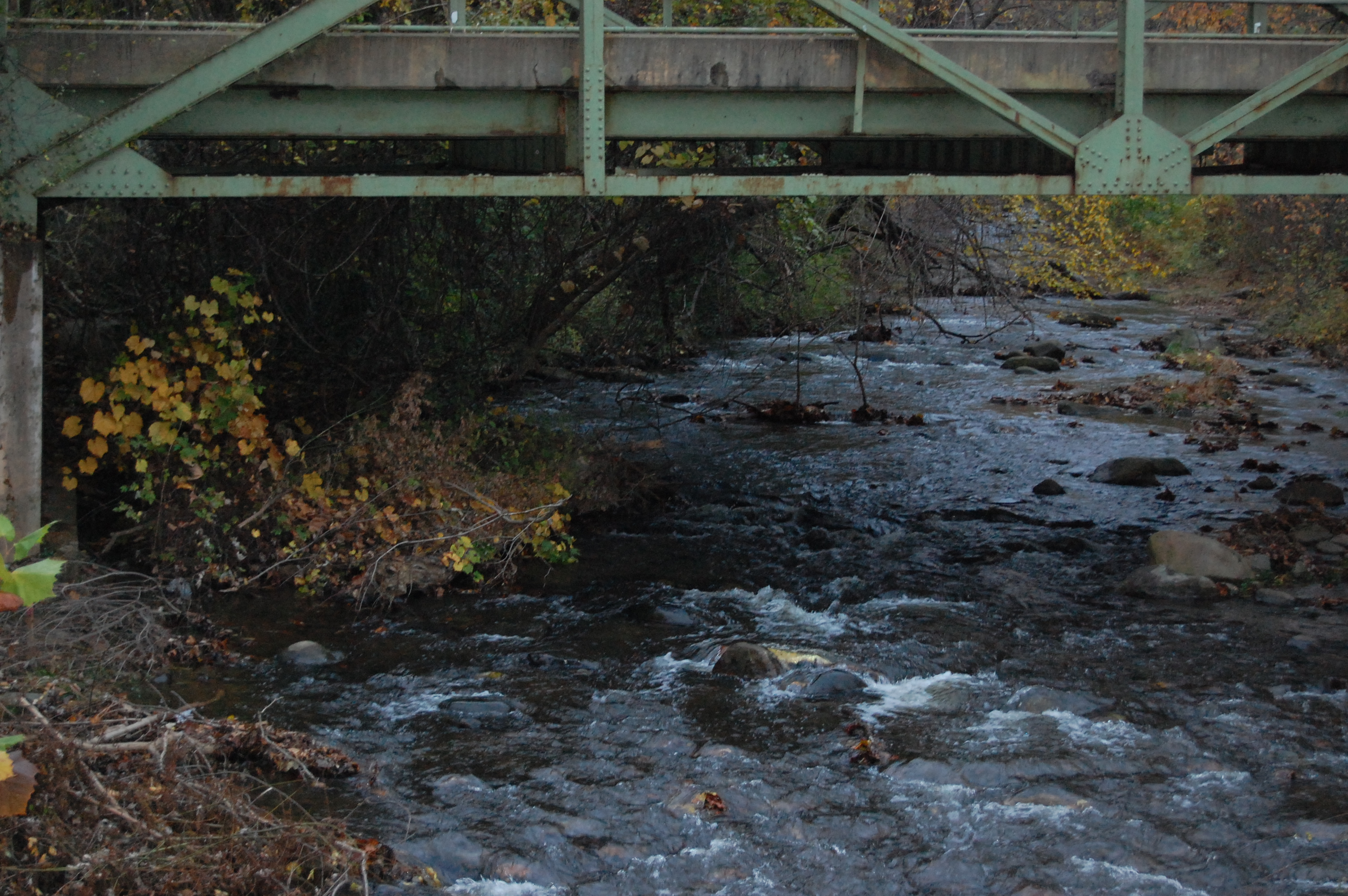 Under the Bridge: Photo by Sharon Burtner
